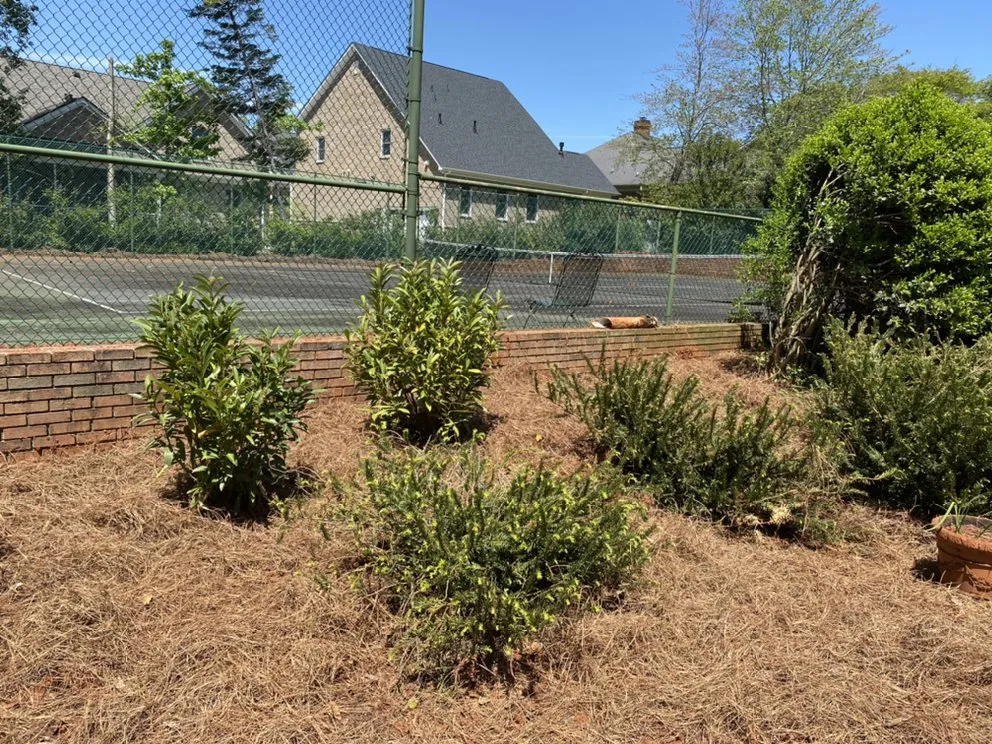 Expert plumbing repair service in Simpsonville, SC - Gilbert Plumbing Services