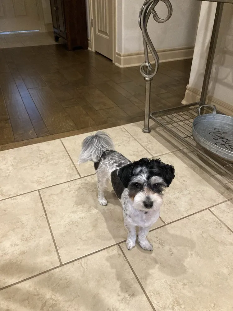 Slide of Gilded Plumbing