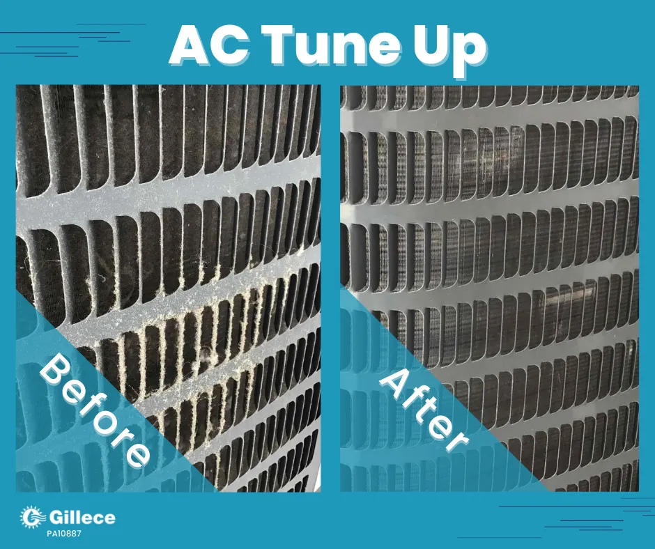 Slide of Gillece Services