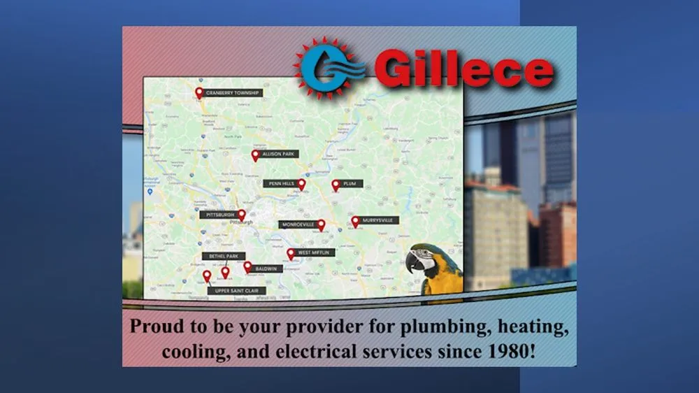 Slide of Gillece Services