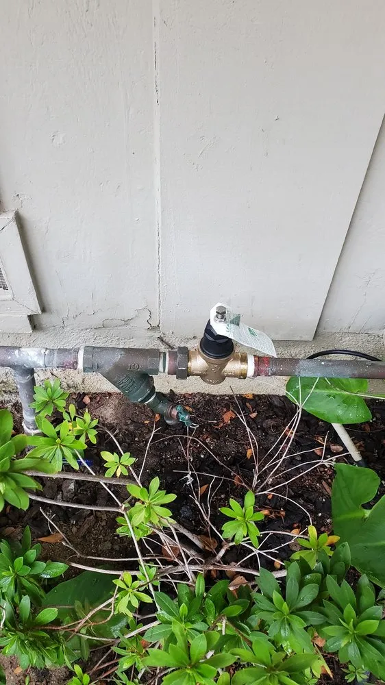 Quality drain cleaning service in San Fernando Valley, CA - Giovannis Plumbing