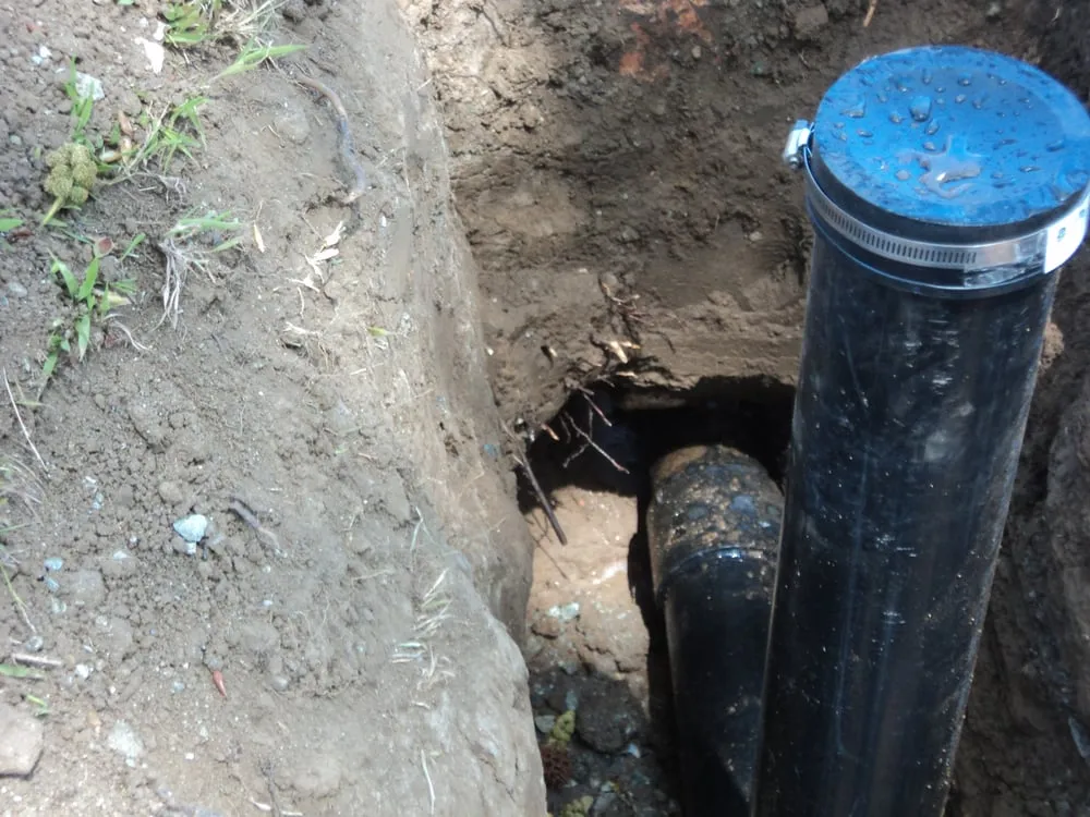 Trusted drain cleaning service in Whittier, CA - GL Plumbing Service