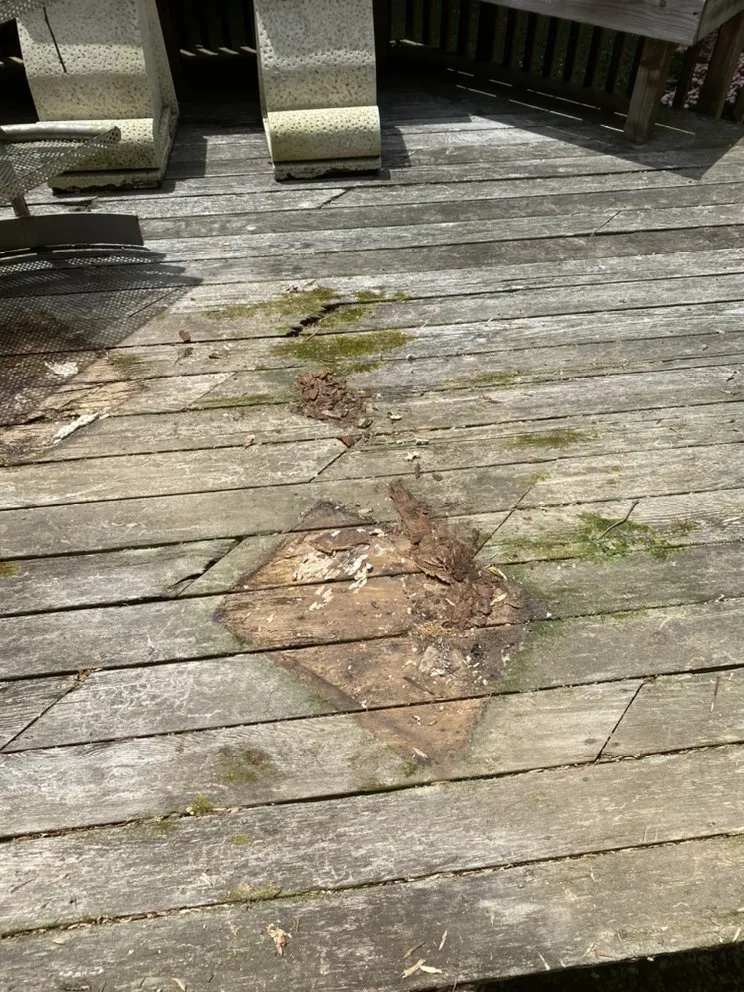 Slide of Glenn's Handyman Service