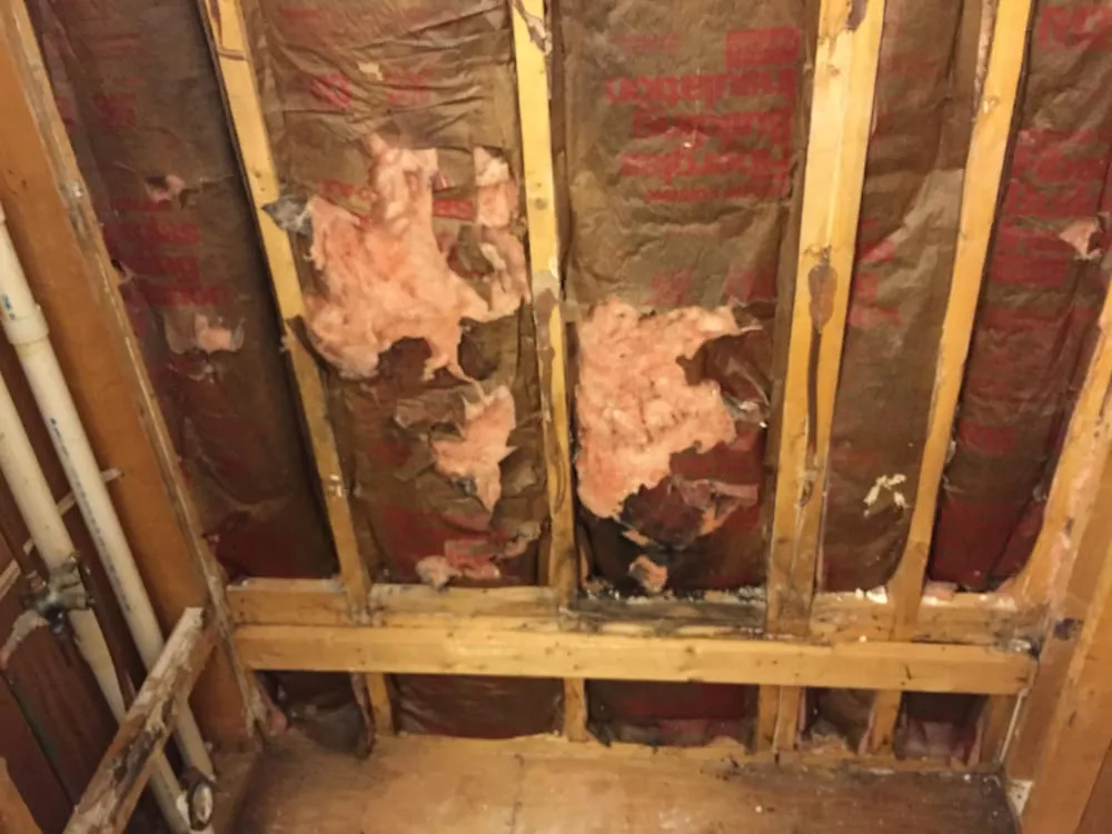 Slide of Global Plumbing