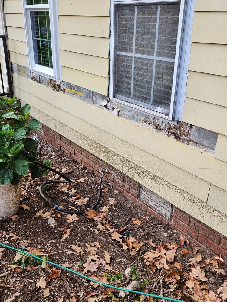 Slide of Gloria Aparicio - Handyman