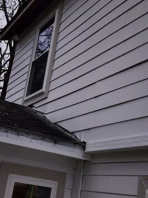 Gloria Aparicio - Handyman