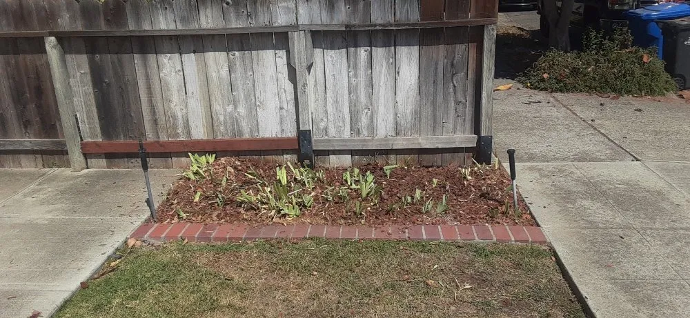 Trusted pipe repair service in San Jose, CA - Glorified Laborer Handyman Service