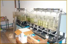 Slide of GML Plumbing