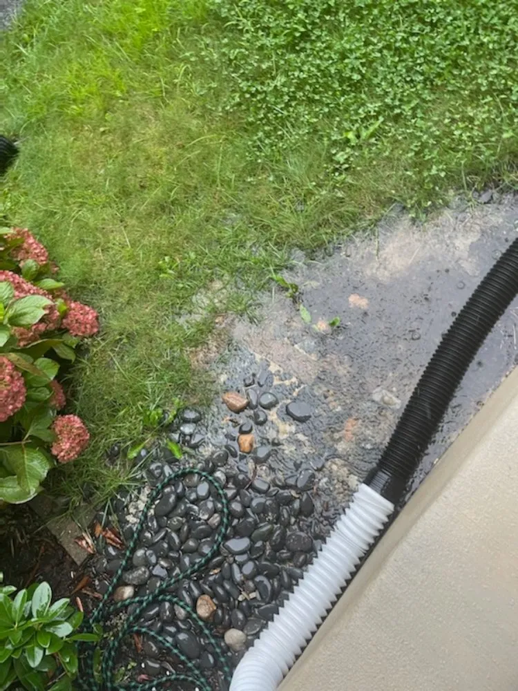 Slide of Go Away Drains