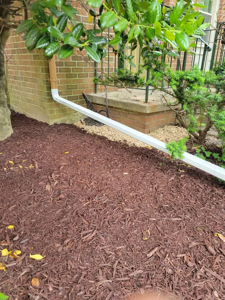 Slide of Go Away Drains