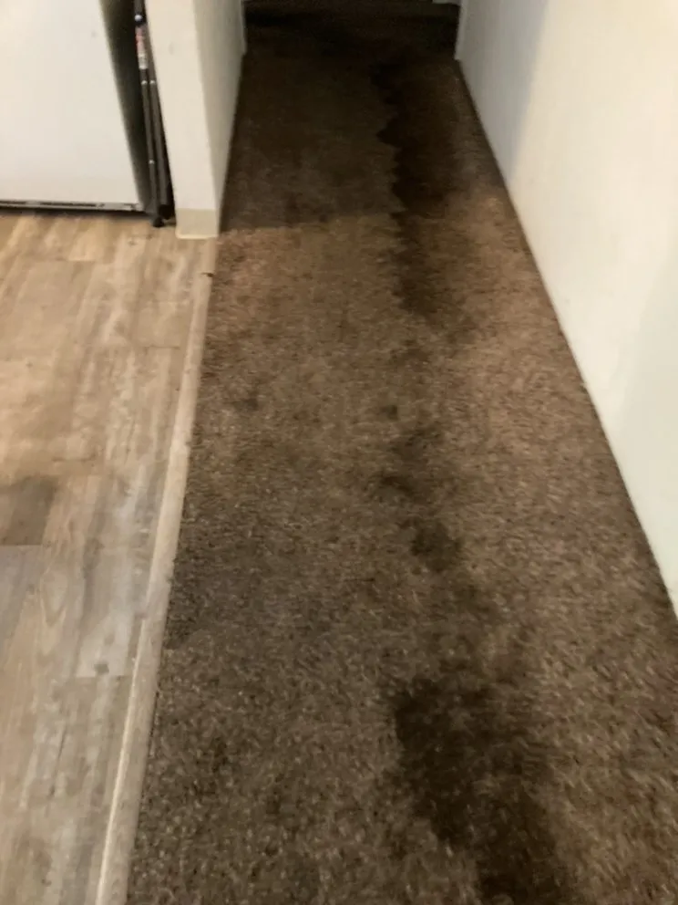 Slide of Go For Spain