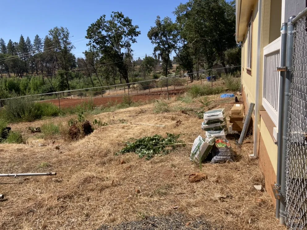 Slide of Go For Spain