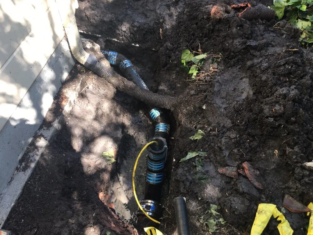 Slide of Go Green Rooter