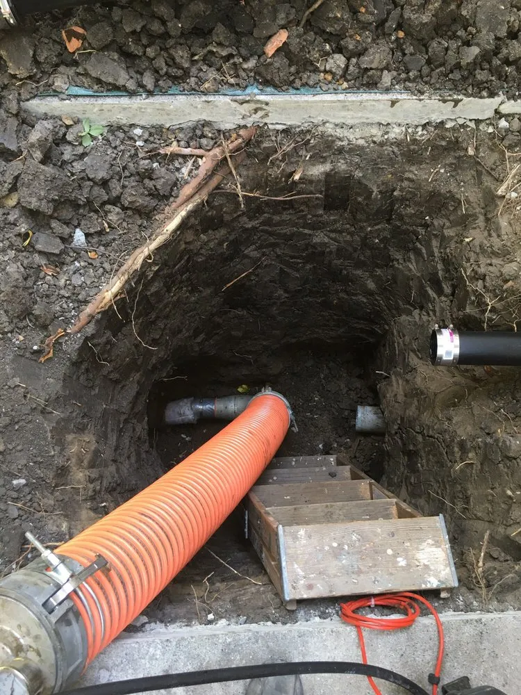 Slide of Go Green Rooter