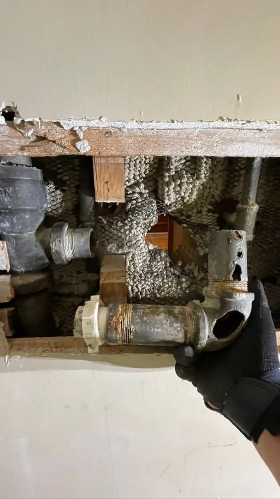 Slide of Go Jetters Drain and Sewer Services