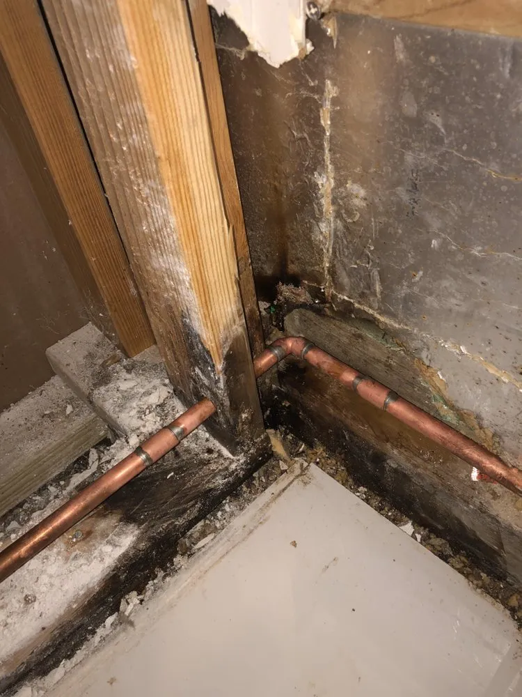 Quality leak detection in Chicago, IL by Go-Rooter Emergency plumbers