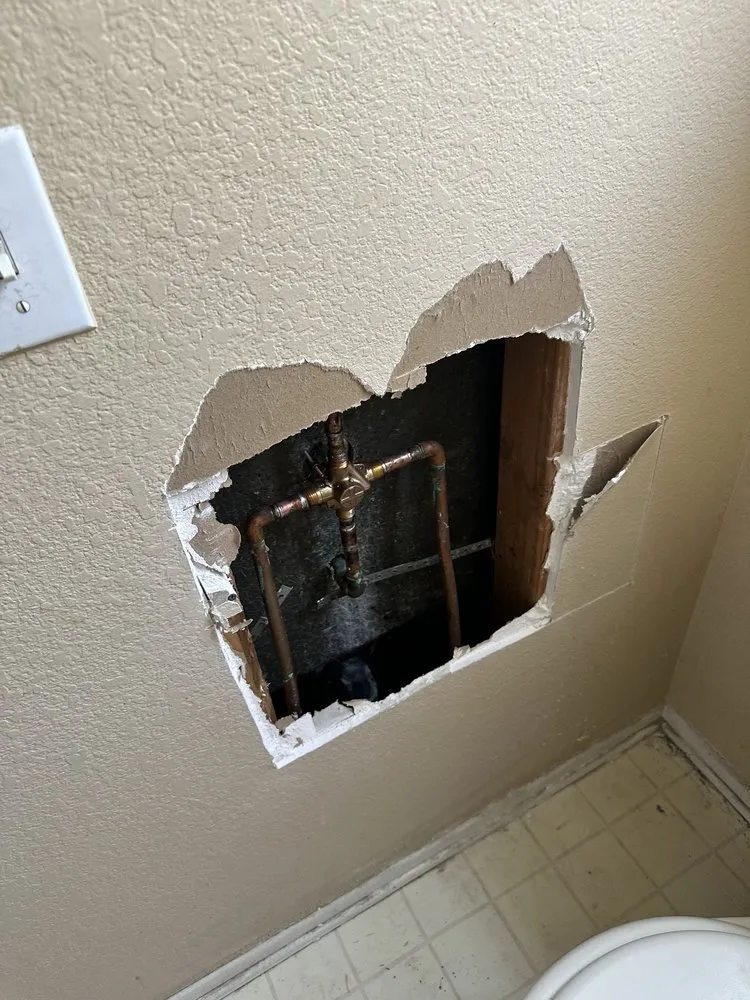 Slide of Goat Plumbing