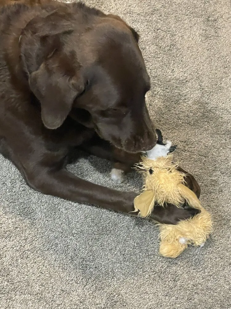 Slide of Goettl Air Conditioning and Plumbing - Corona