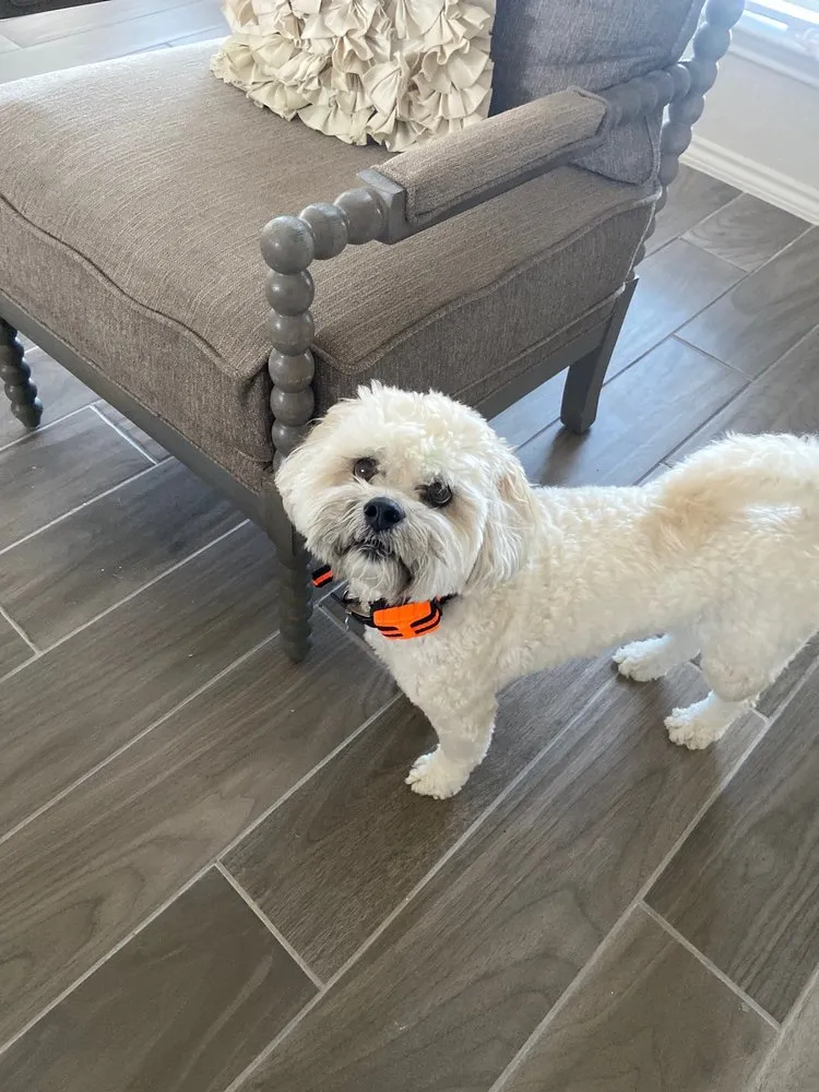 Professional pipe repair experts serving San Antonio, TX - Goettl Air Conditioning and Plumbing - San Antonio