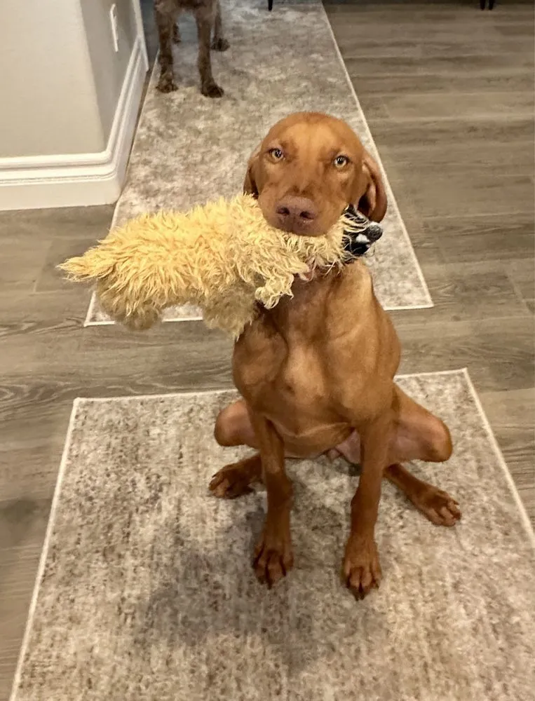 Slide of Goettl Air Conditioning and Plumbing