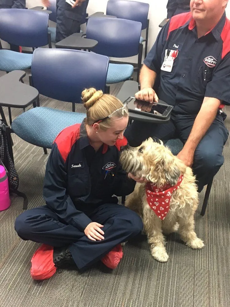 Trusted drain cleaning in Reno, NV by Goettl Air Conditioning and Plumbing