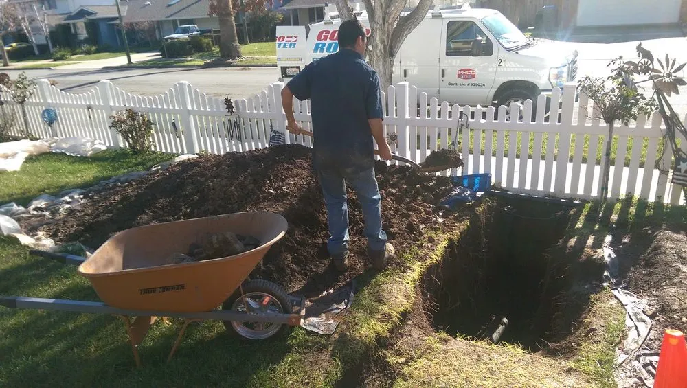 Slide of Gogo Rooter