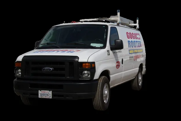 Slide of Gogo Rooter