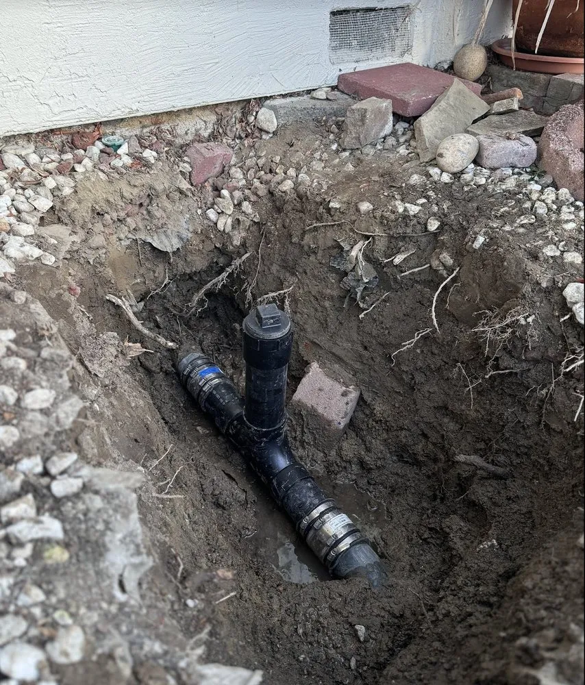 Slide of Gogo Rooter