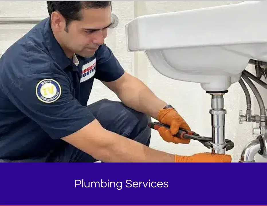 Slide of Gogo Rooter