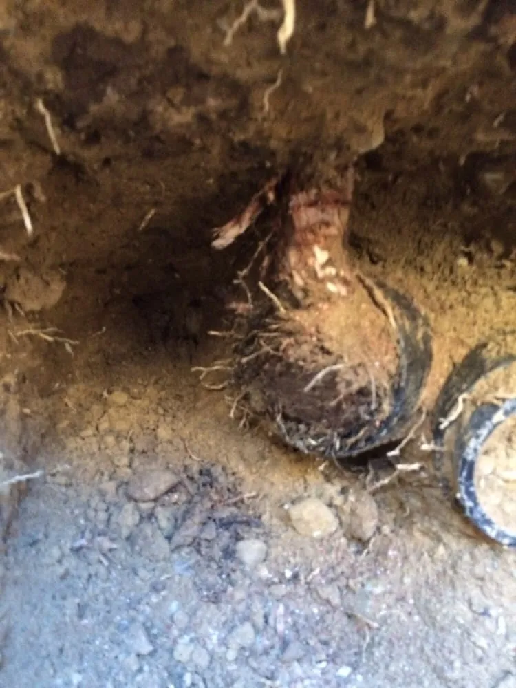 Slide of Gold Coast Plumbing and Rooter