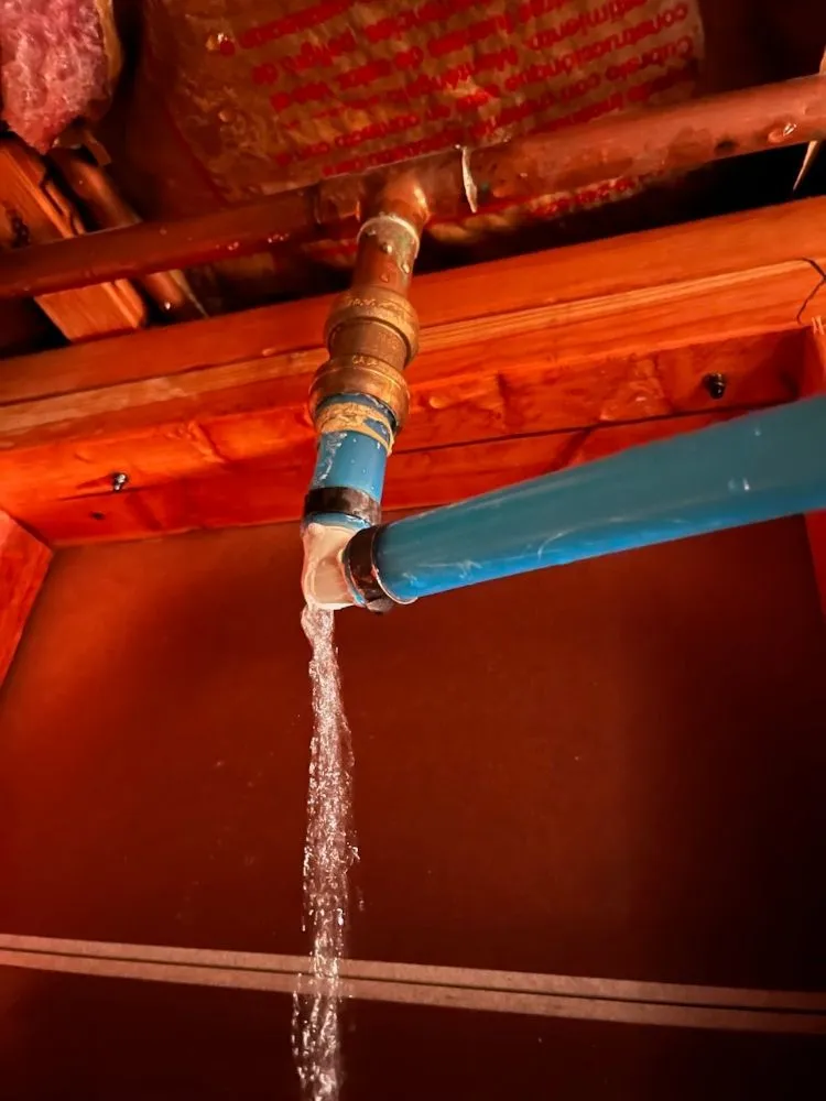 Slide of Gold Leaf Emergency Plumbers Denver