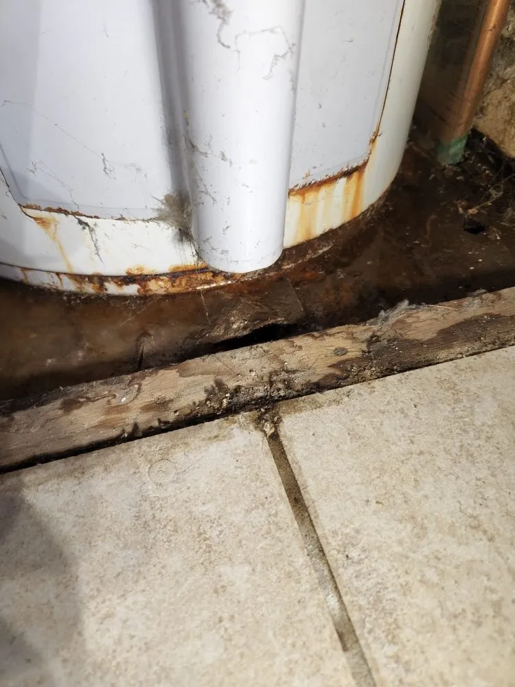 Quality emergency plumbing in Englewood, CO by Gold Leaf Emergency Plumbers Denver