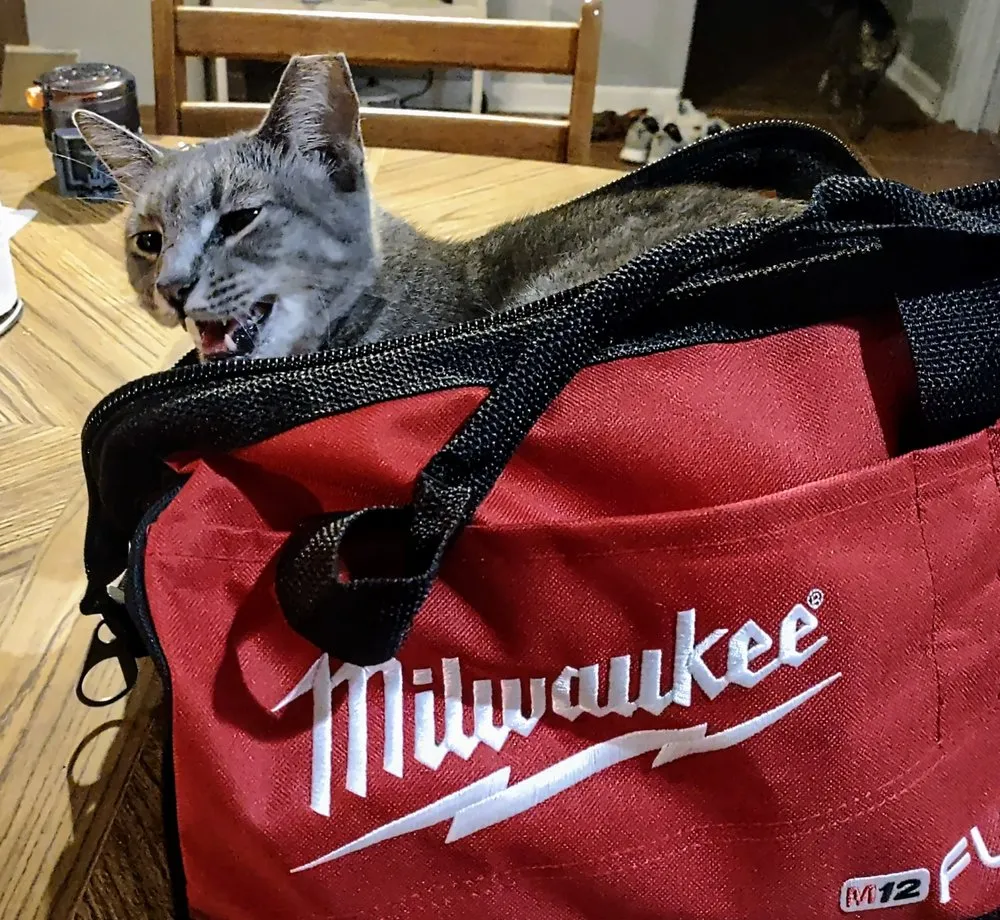 Slide of Gold Medal Plumbing