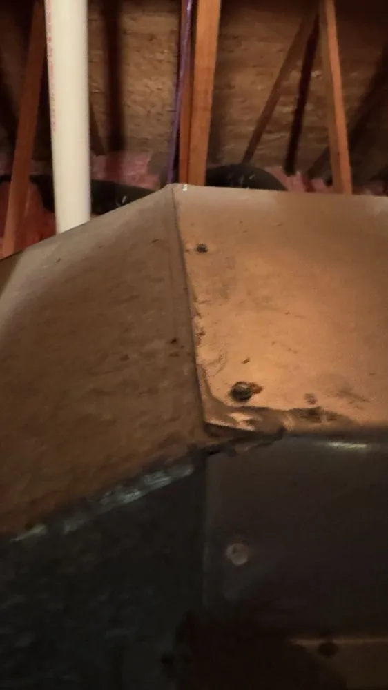 Slide of Gold Medal Service