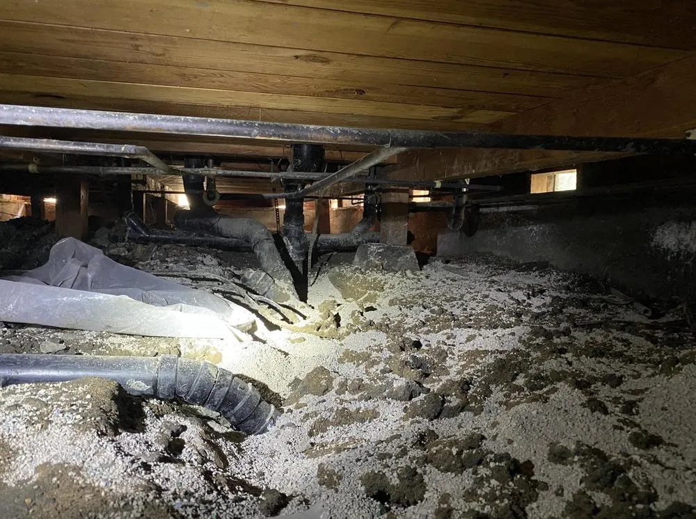 Slide of Gold Star Plumbing