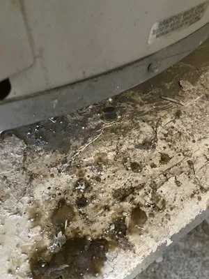 Golden King Plumbing Logo