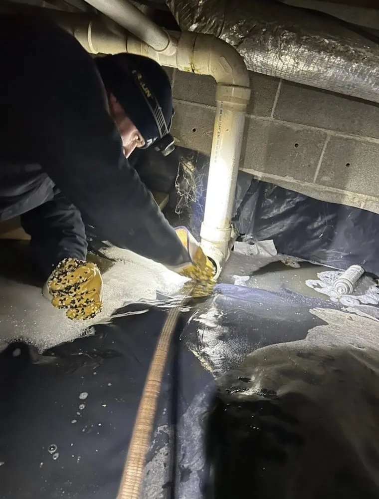 Slide of Golden Plumbing