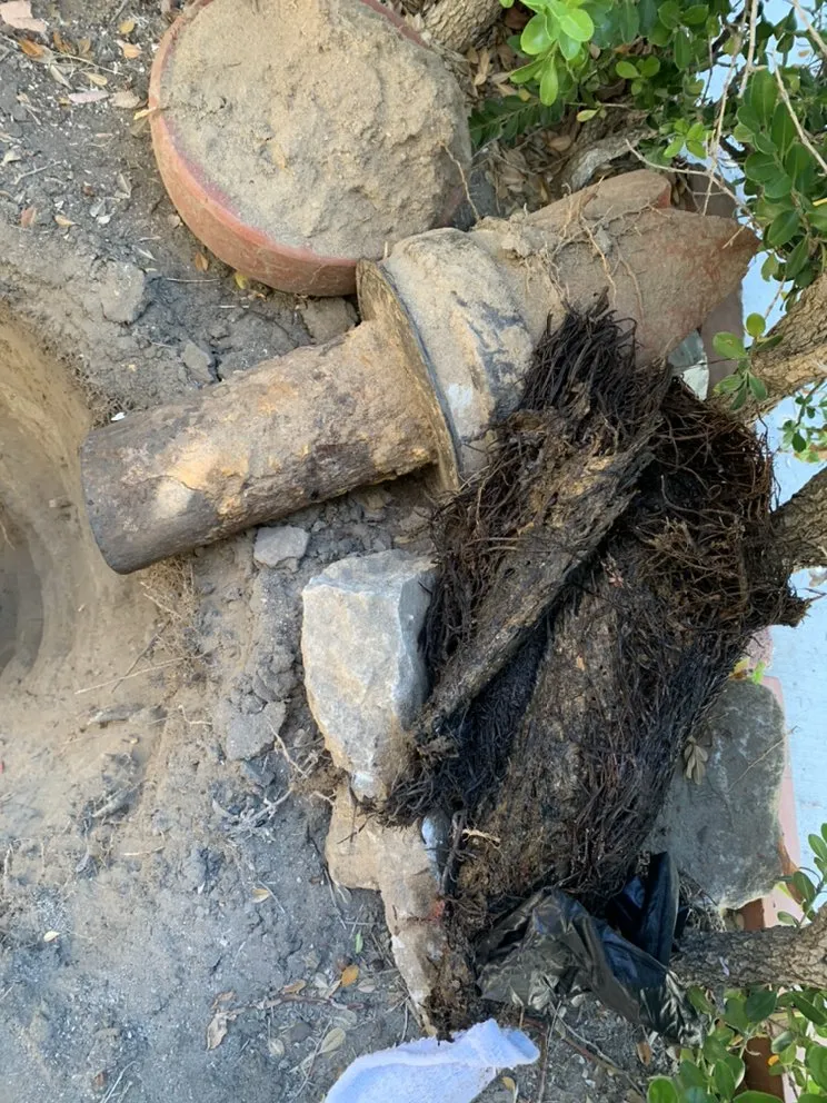 Slide of Golden Rooter And Plumbing