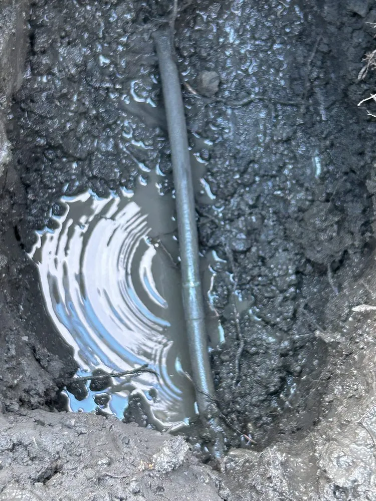 Slide of Golden State Leak Detection