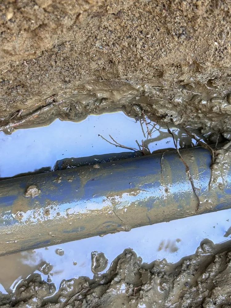 Expert leak detection service in Berkeley, CA - Golden State Leak Detection