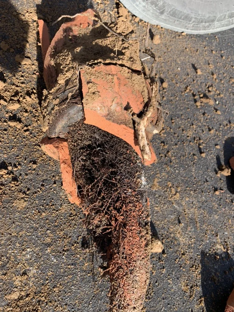 Slide of Golden State Plumbing