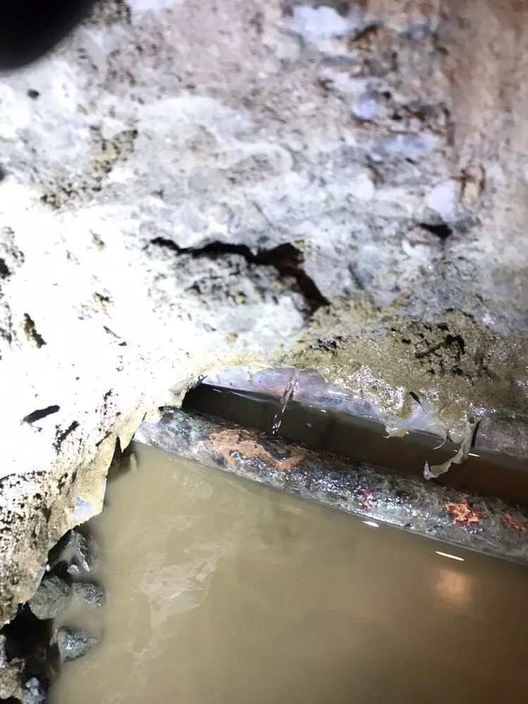 Slide of Golden State Plumbing