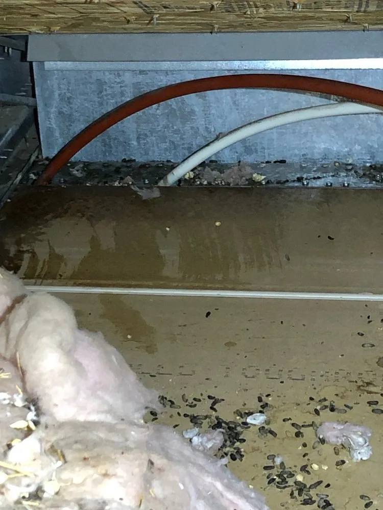 Slide of Golden State Plumbing Service