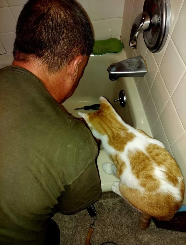 Slide of Golden Touch