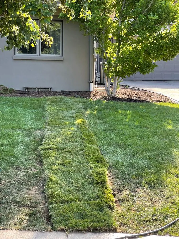 Slide of Goldstar Excavation and Sewer