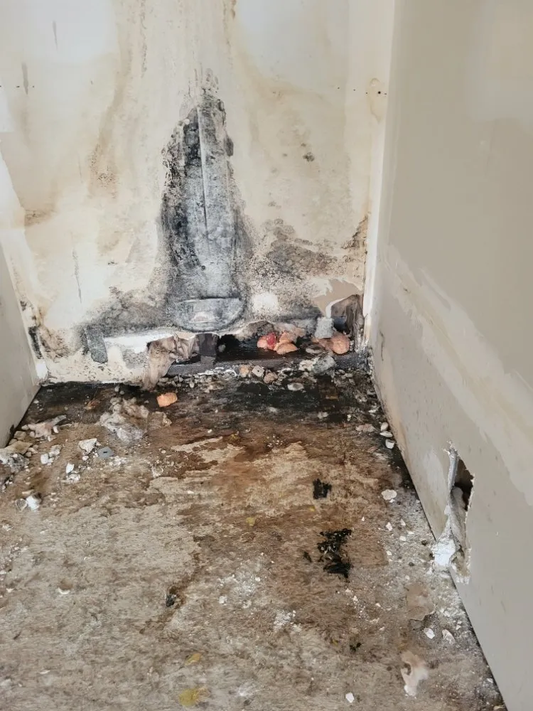 Slide of Goldstar Plumbing