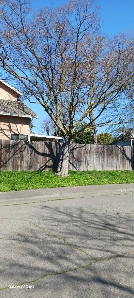 Slide of Gonazalez Landscaping & Services