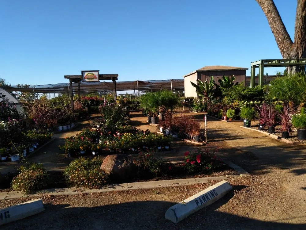 Slide of Gonazalez Landscaping & Services