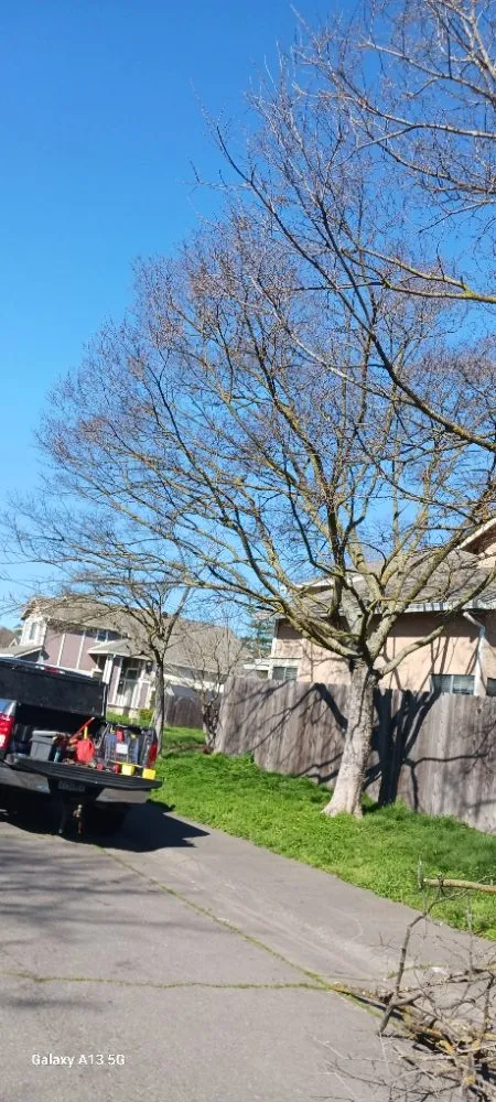 Slide of Gonazalez Landscaping & Services