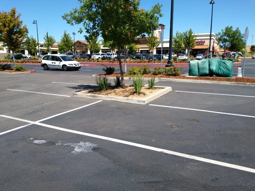 Slide of Gonazalez Landscaping & Services